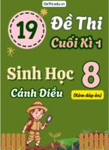 Tuyển tập 19 Đề thi cuối Kì 1 môn Sinh Học 8 sách Cánh Diều (Kèm đáp án)